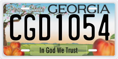 GA license plate CGD1054