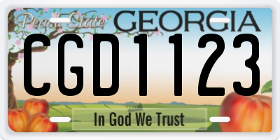 GA license plate CGD1123