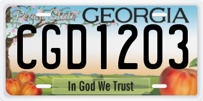 GA license plate CGD1203
