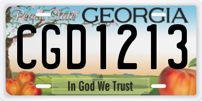 GA license plate CGD1213