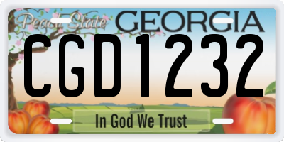 GA license plate CGD1232