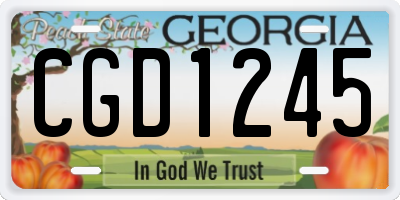 GA license plate CGD1245