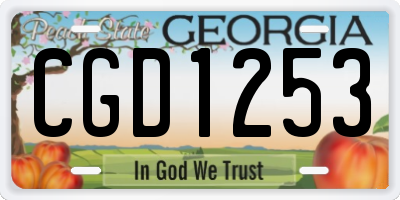GA license plate CGD1253