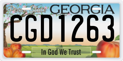 GA license plate CGD1263