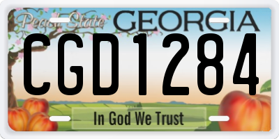 GA license plate CGD1284