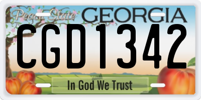 GA license plate CGD1342