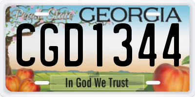 GA license plate CGD1344