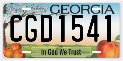 GA license plate CGD1541