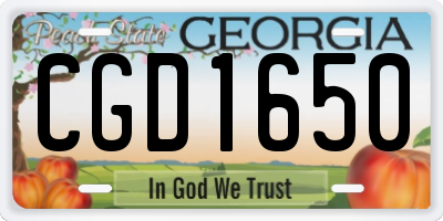 GA license plate CGD1650