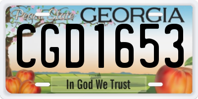 GA license plate CGD1653