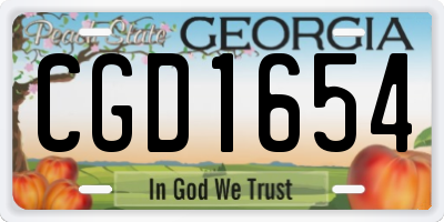 GA license plate CGD1654