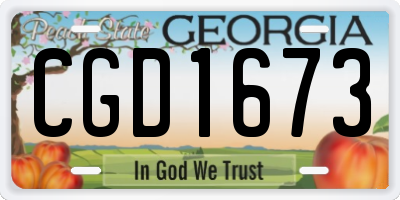 GA license plate CGD1673
