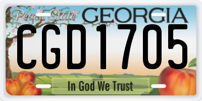 GA license plate CGD1705