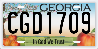 GA license plate CGD1709