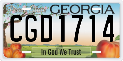GA license plate CGD1714