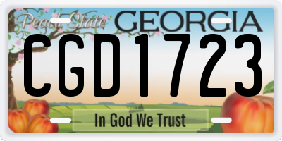 GA license plate CGD1723