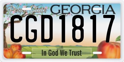 GA license plate CGD1817