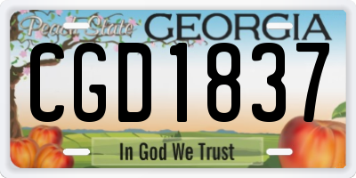 GA license plate CGD1837