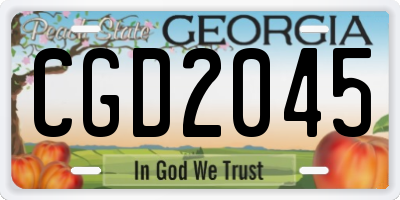 GA license plate CGD2045