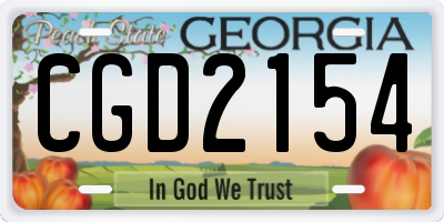 GA license plate CGD2154