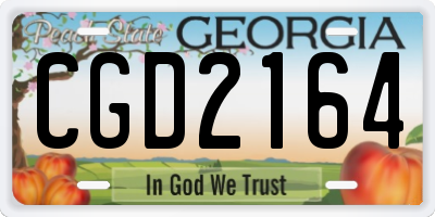 GA license plate CGD2164
