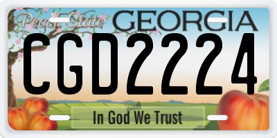 GA license plate CGD2224
