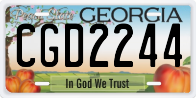 GA license plate CGD2244