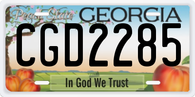 GA license plate CGD2285