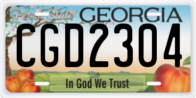 GA license plate CGD2304