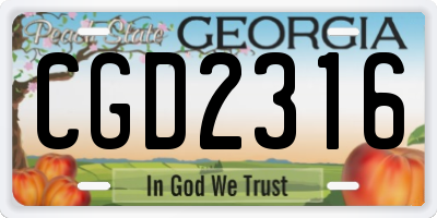GA license plate CGD2316