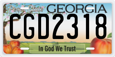 GA license plate CGD2318
