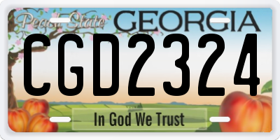 GA license plate CGD2324