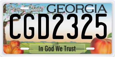 GA license plate CGD2325