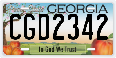GA license plate CGD2342