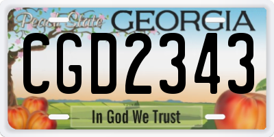 GA license plate CGD2343