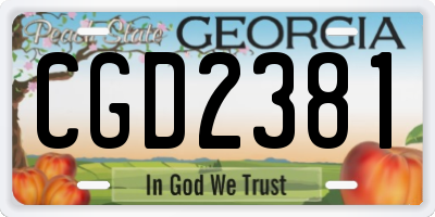 GA license plate CGD2381