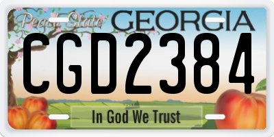 GA license plate CGD2384