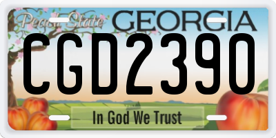 GA license plate CGD2390