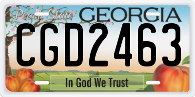 GA license plate CGD2463
