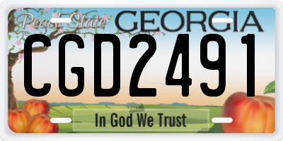 GA license plate CGD2491