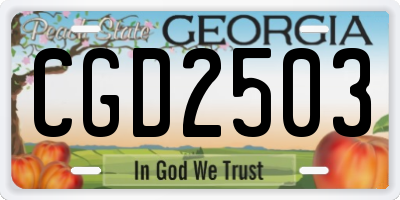 GA license plate CGD2503