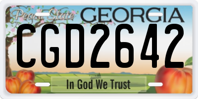 GA license plate CGD2642