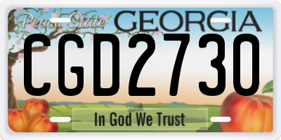 GA license plate CGD2730
