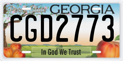 GA license plate CGD2773