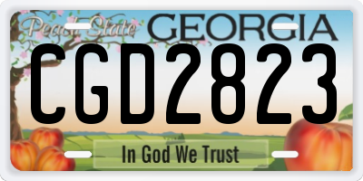 GA license plate CGD2823