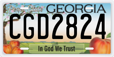 GA license plate CGD2824