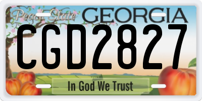 GA license plate CGD2827