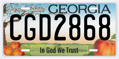 GA license plate CGD2868