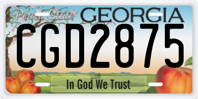 GA license plate CGD2875