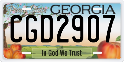 GA license plate CGD2907